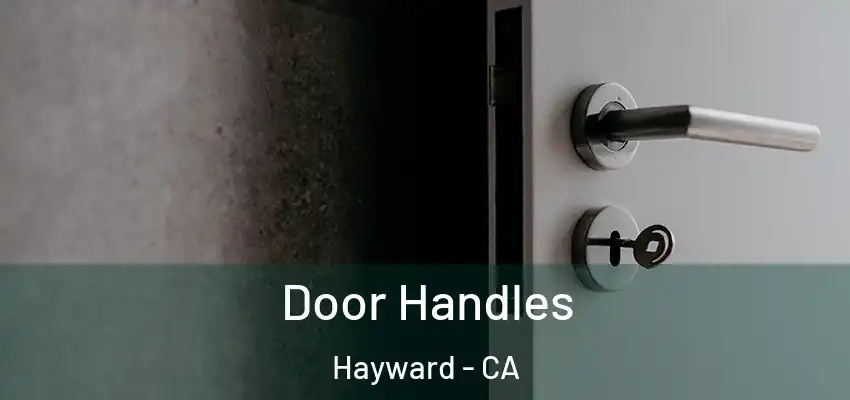  Door Handles Hayward - CA
