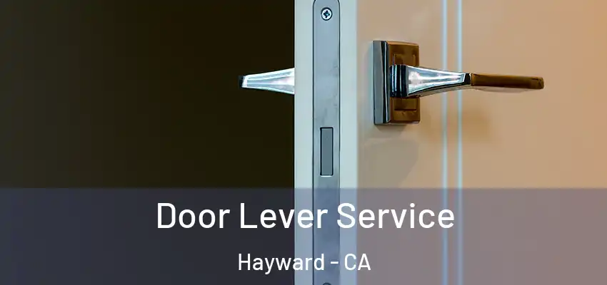  Door Lever Service Hayward - CA